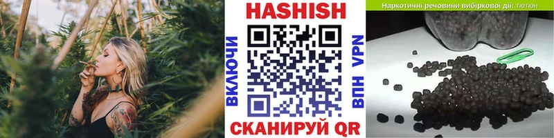 закладка  Игра  Гашиш Изолятор 