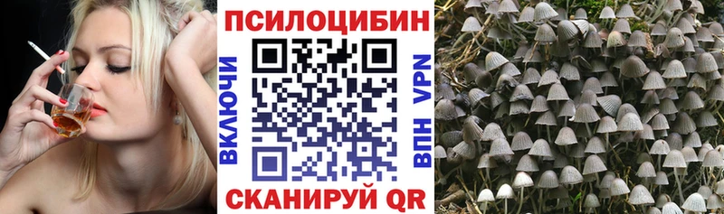 наркотики  Игра  Галлюциногенные грибы прущие грибы 